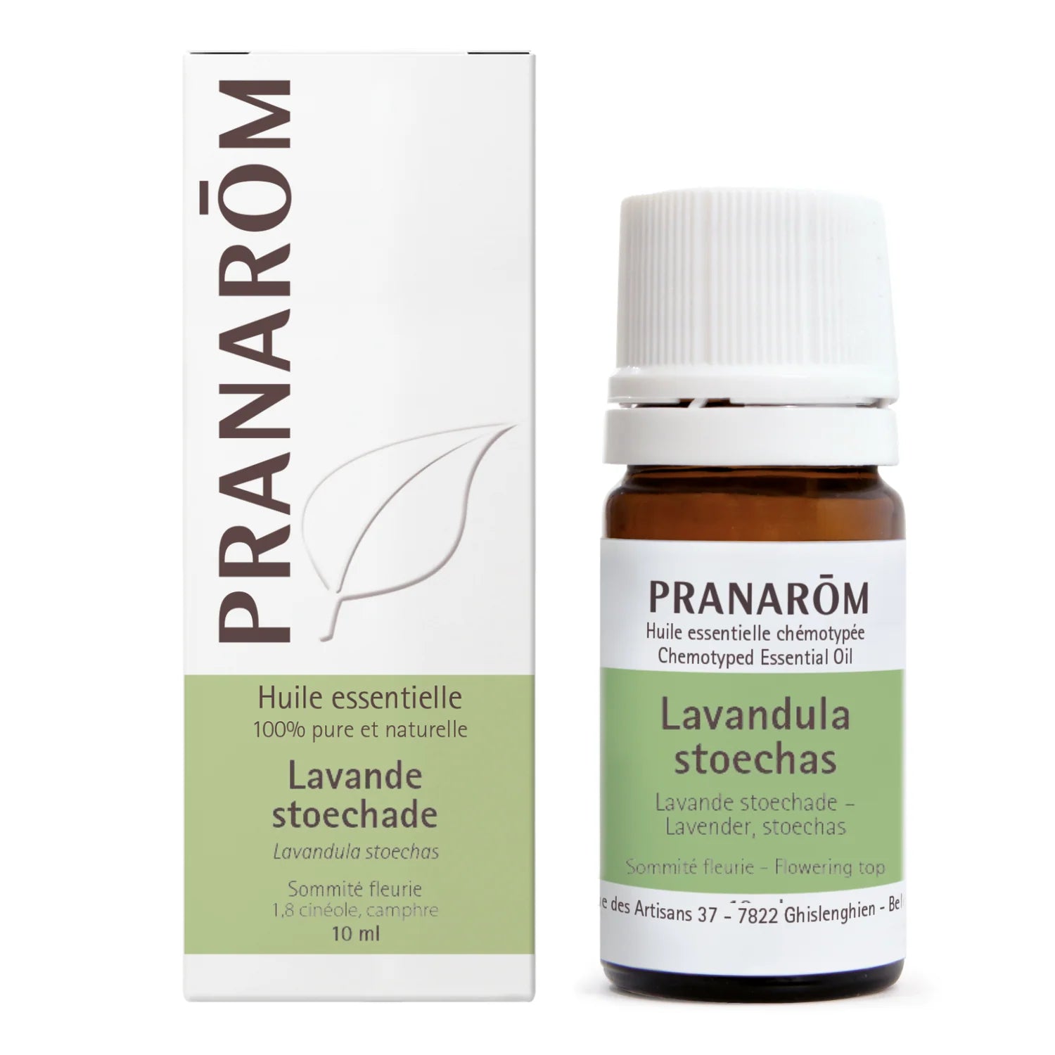 HE Lavande stoecHEade  AnticatarrHEale  mucolytique  cicatrisante
